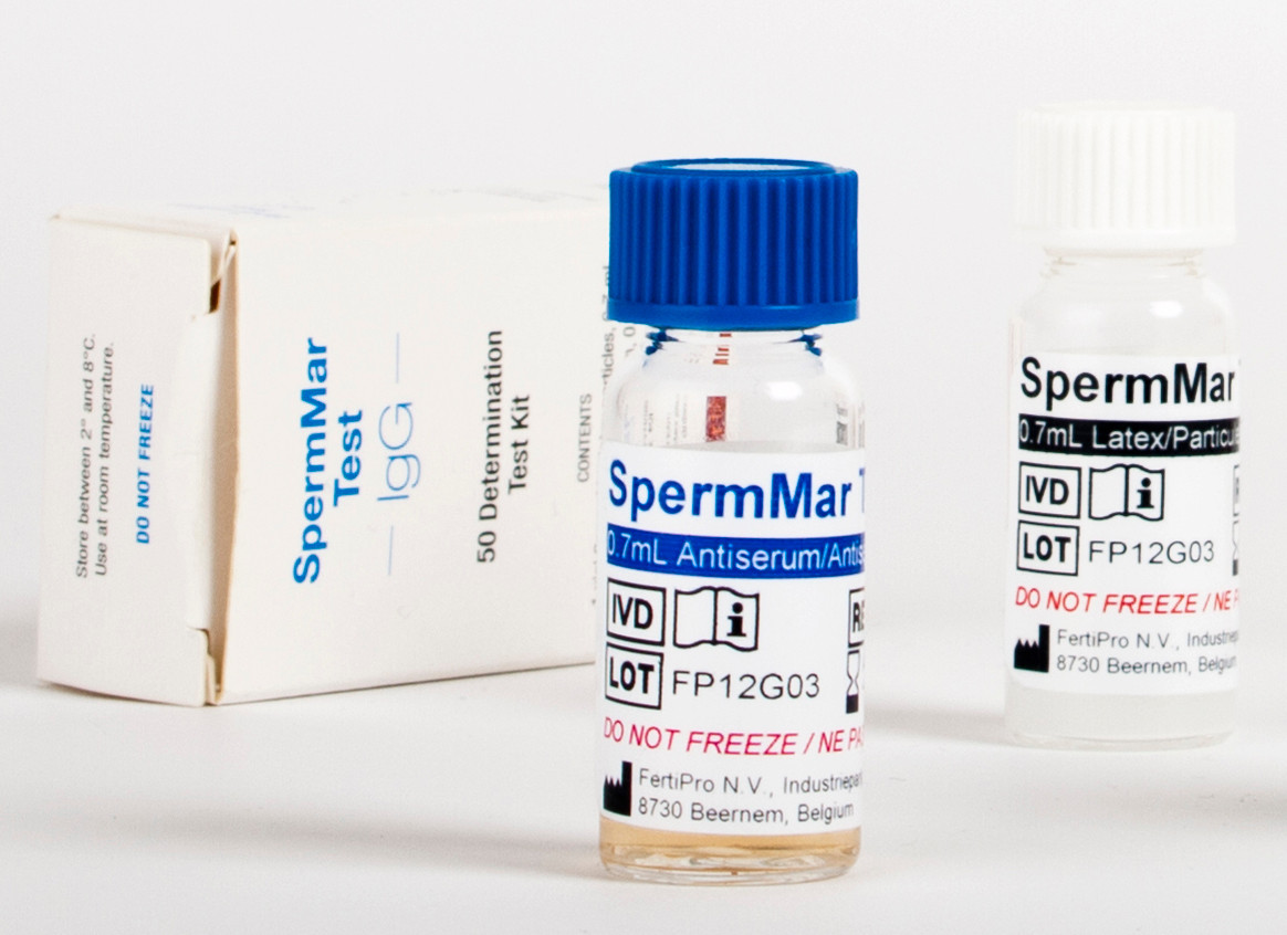 Goshtli sonlar fotosurati